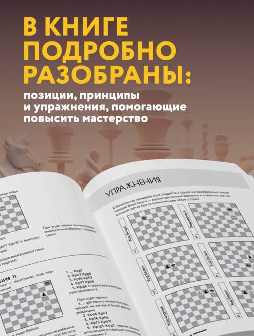 Искусство эндшпиля для начинающих