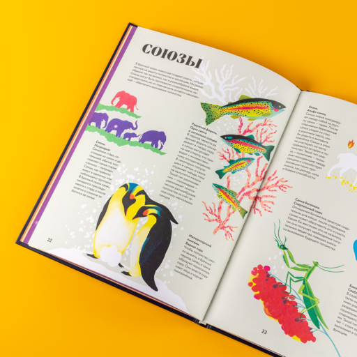 Чудесная книга жизни