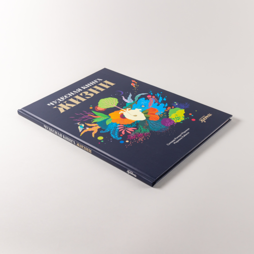 Чудесная книга жизни