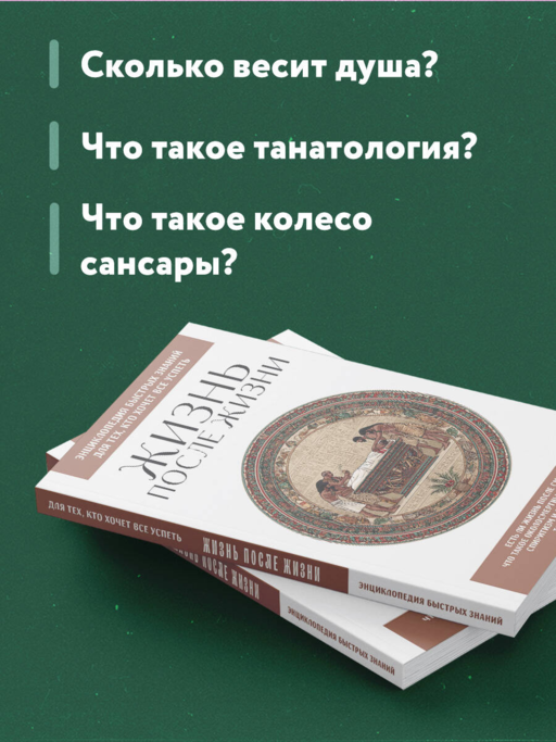 Жизнь после жизни. Для тех, кто хочет все успеть