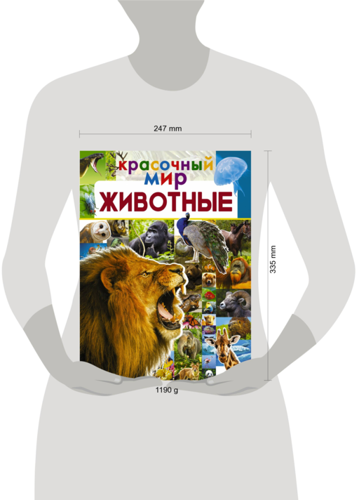Животные