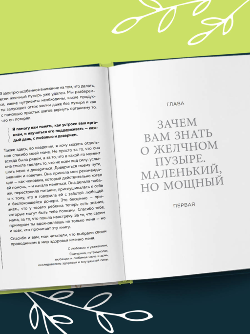 Желчный под контролем. Практическое руководство по поддержанию здоровья при застое желчи, камнях и полипах