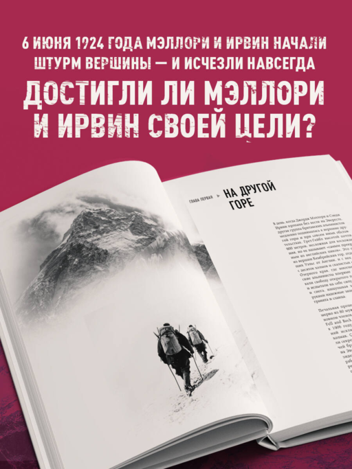 В тишине Эвереста. Гонка за высочайшую вершину мира