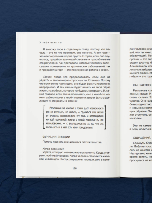 У тебя есть ты. Книга-тренинг о том, как научиться проживать и выдерживать сильные эмоции (2ое издание. Исправленное. Дополненное)