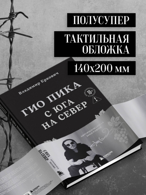 Гио Пика: с юга на север. Авторизованная биография