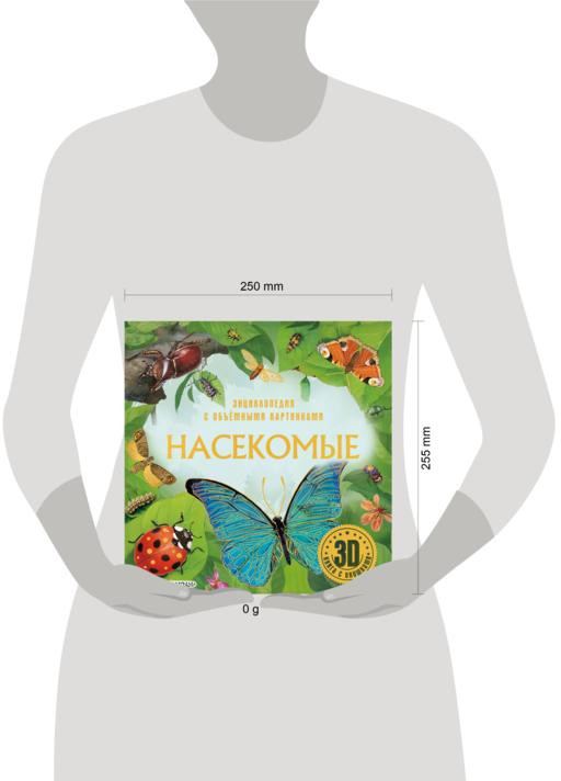 Насекомые