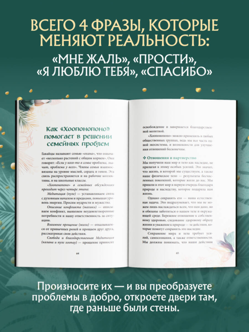 Хоопонопоно. Практика прощения и принятия