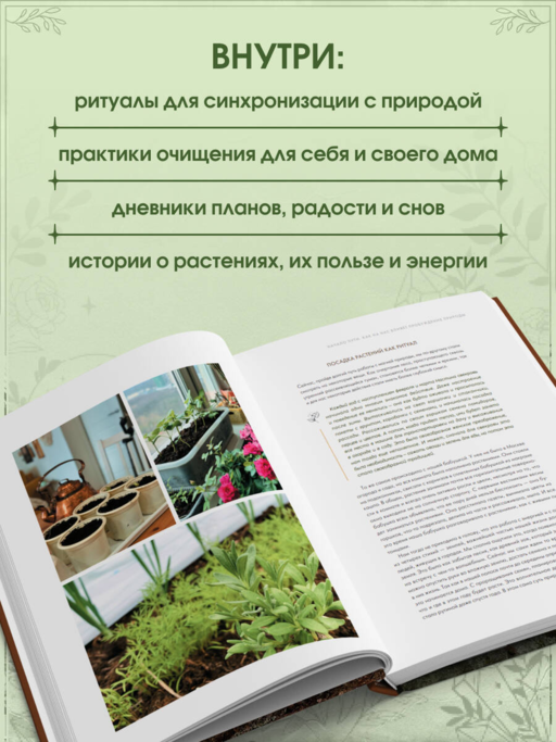 Шаманчай: год в гармонии с природой. Книга о растениях, их силах и применении