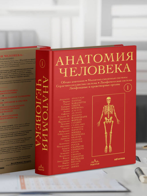 Анатомия человека. Эксклюзивное издание с 50-летней историей. Том 1