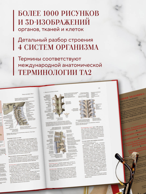 Анатомия человека. Эксклюзивное издание с 50-летней историей. Том 1