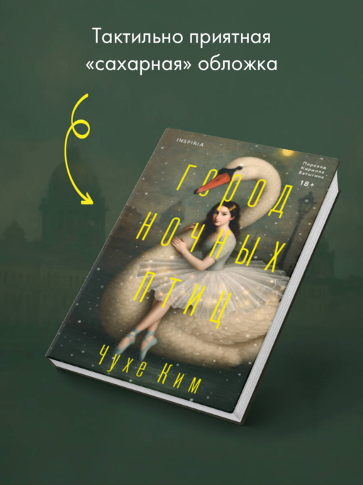 Город ночных птиц