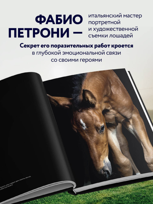 Лошади. Портреты, вдохновленные Рембрандтом. Эксклюзивный фотоальбом