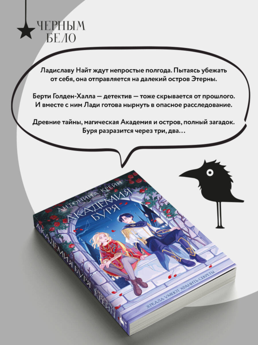 Шолох. Академия Буря