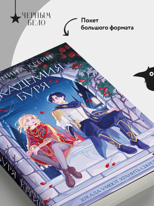 Шолох. Академия Буря