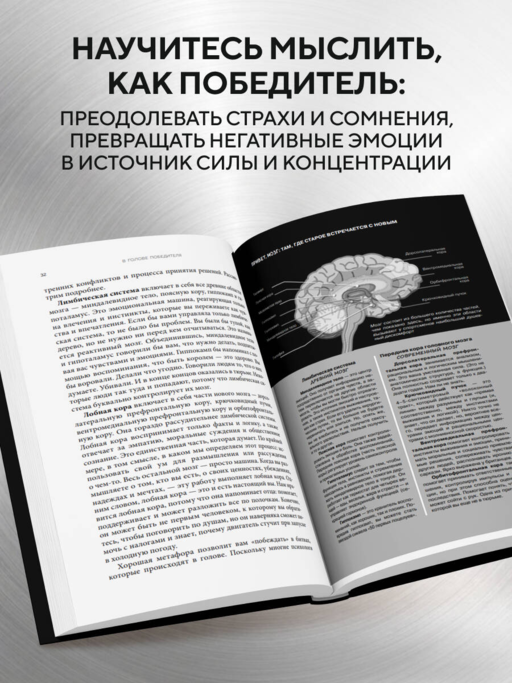 В голове победителя. Как тренировать мозг так же, как мышцы
