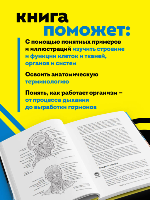Анатомия и физиология для чайников