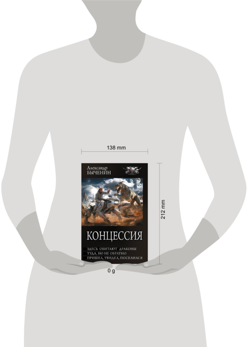 Концессия