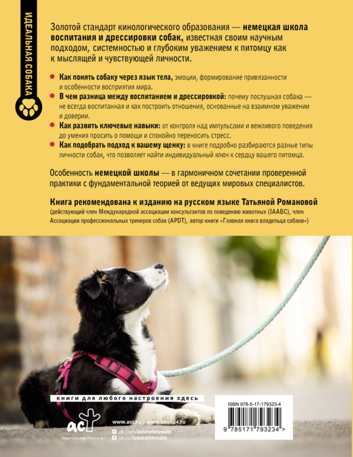 Немецкая школа дрессировки щенков. Современные методики воспитания