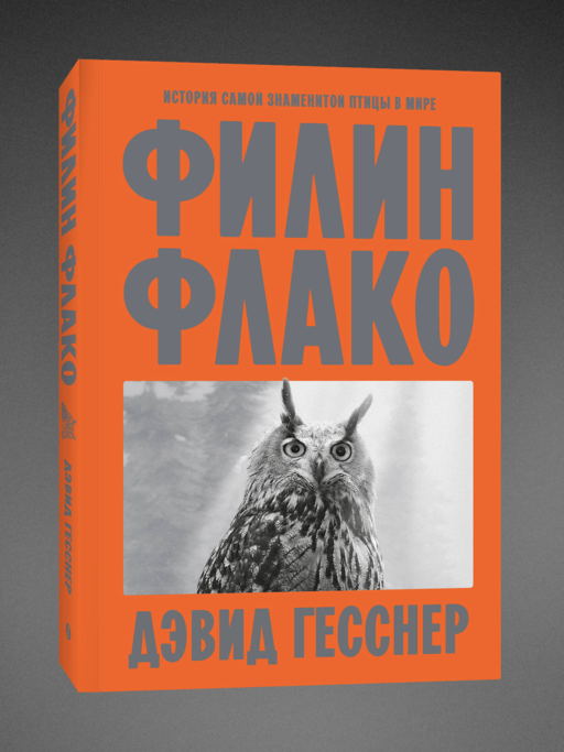 Филин Флако: История самой знаменитой птицы в мире