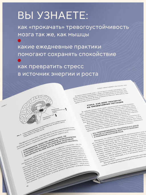 Нейроброня. Новый взгляд на работу мозга в условиях тревожного мира