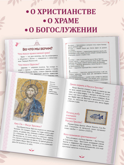 Лучший подарок крестнице. 77 самых главных вопросов и ответов (ил. И. Панкова) (с грифом РПЦ)