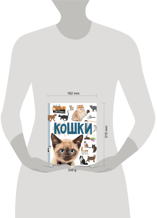 Кошки