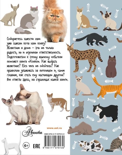 Кошки