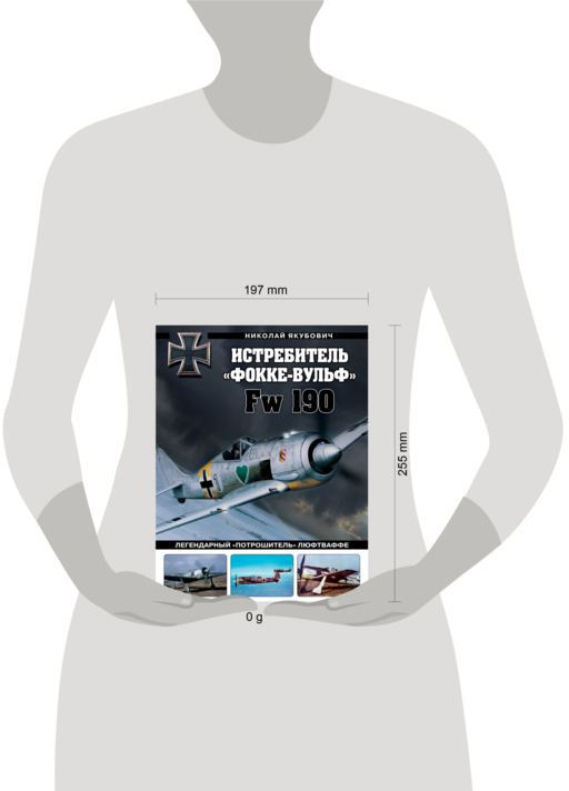 Истребитель «Фокке-Вульф» Fw 190. Легендарный «потрошитель» Люфтваффе