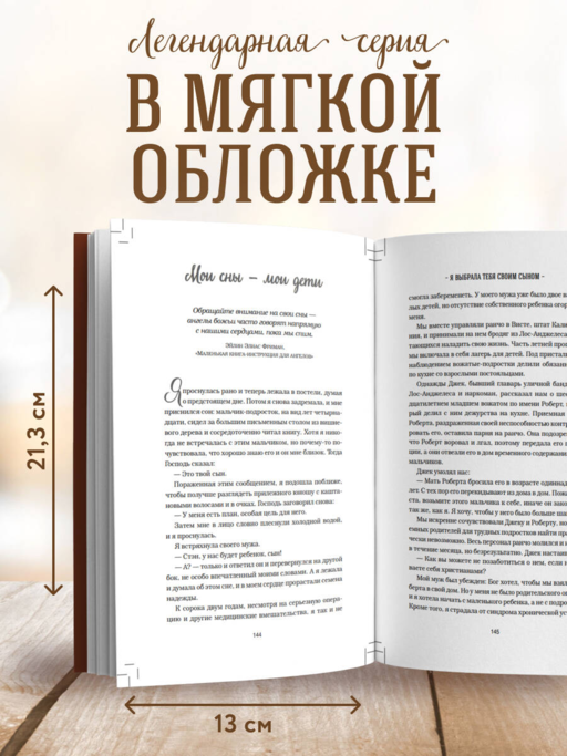 Куриный бульон для души. Мама и сын. 101 история о безграничной любви