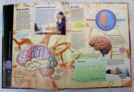 Тело человека. Виртуальная реальность