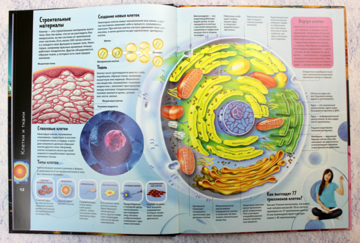 Тело человека. Виртуальная реальность