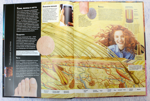 Тело человека. Виртуальная реальность