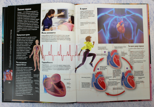 Тело человека. Виртуальная реальность