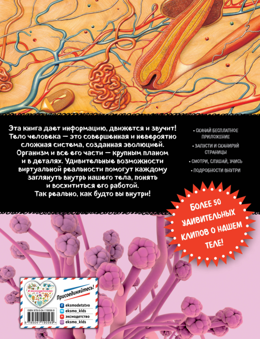 Тело человека. Виртуальная реальность