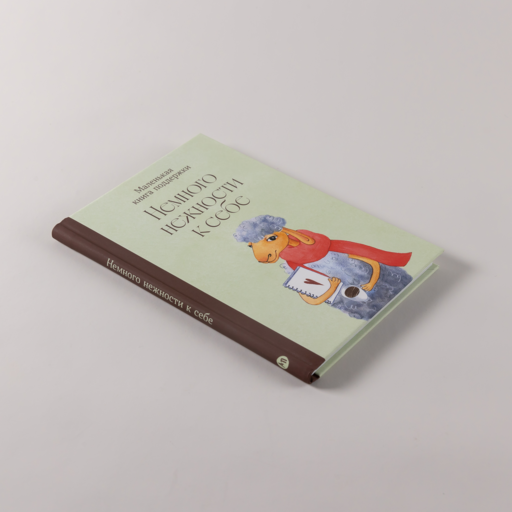 Немного нежности к себе: Маленькая книга поддержки