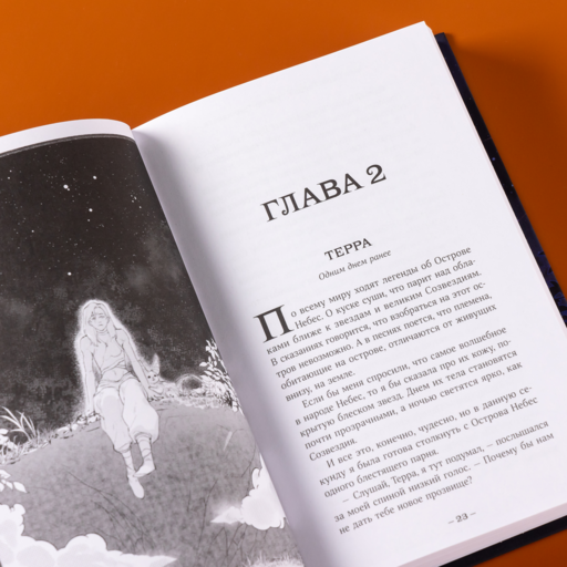 Терра и турнир Тринадцати