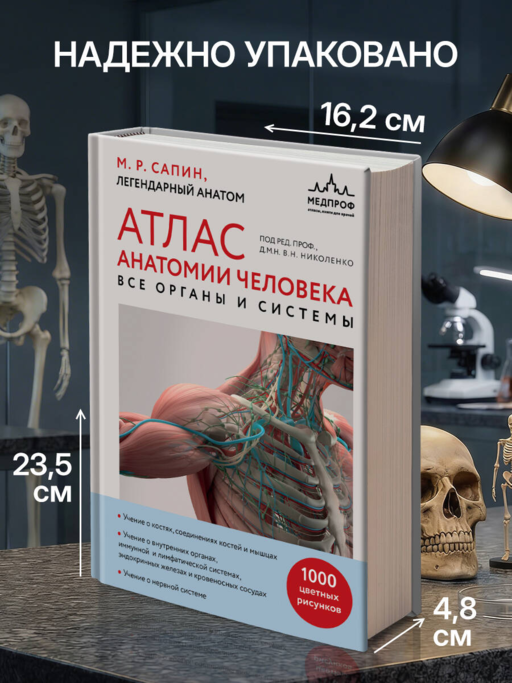 Атлас анатомии человека. Все органы и системы
