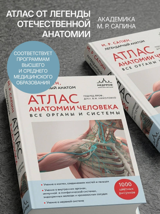 Атлас анатомии человека. Все органы и системы