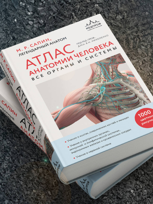 Атлас анатомии человека. Все органы и системы