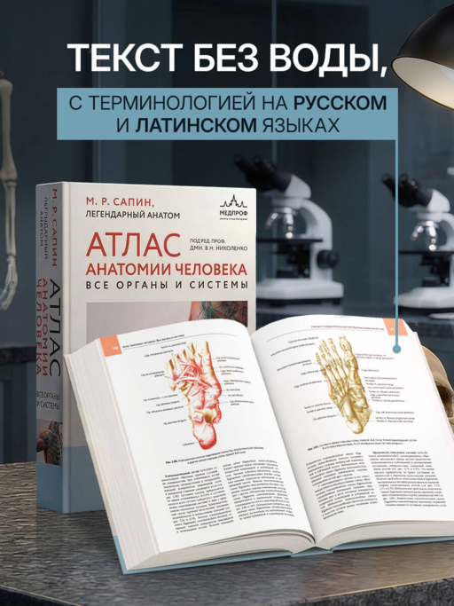 Атлас анатомии человека. Все органы и системы