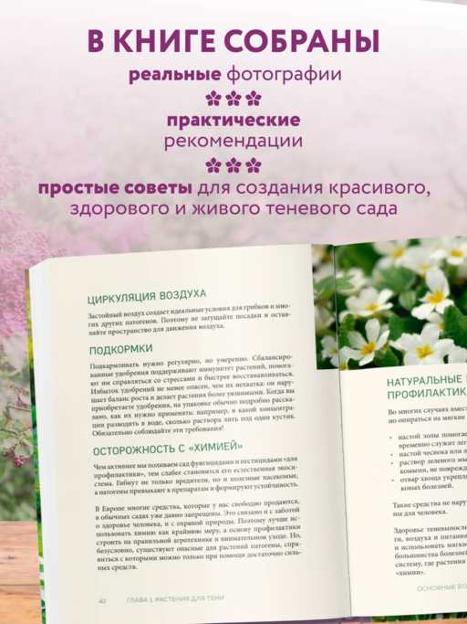 Магия теневого сада. Как выбрать идеальные растения для потаенных уголков участка и создать красивые композиции