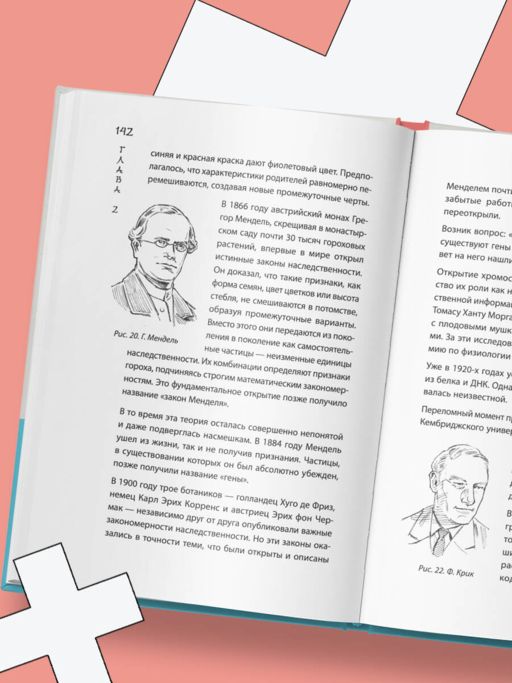Удивительное тело. Почему наше тело самое нелепое и гениальное создание природы