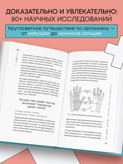 Удивительное тело. Почему наше тело самое нелепое и гениальное создание природы
