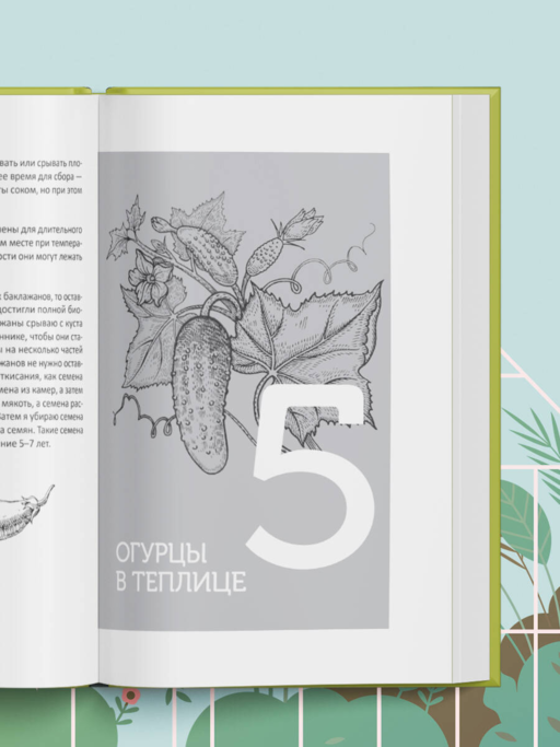 Теплица без ошибок. Все, что нужно знать, чтобы получить ранний и богатый урожай