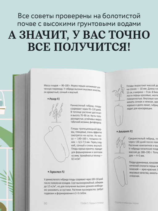Теплица без ошибок. Все, что нужно знать, чтобы получить ранний и богатый урожай