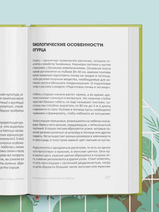 Теплица без ошибок. Все, что нужно знать, чтобы получить ранний и богатый урожай