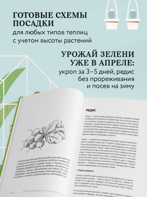Теплица без ошибок. Все, что нужно знать, чтобы получить ранний и богатый урожай