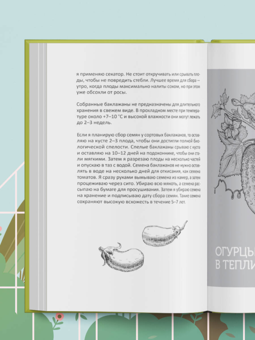 Теплица без ошибок. Все, что нужно знать, чтобы получить ранний и богатый урожай