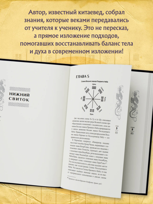 Трактат Желтого императора. Китайские врачи о Книге Перемен