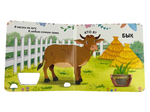 Загляни в окошко! Загадки о животных
